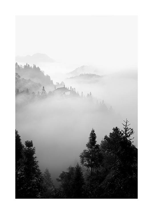  – Black and white photograph of a foggy forest landscape in the mountains