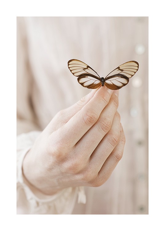 Butterfly Friend Poster