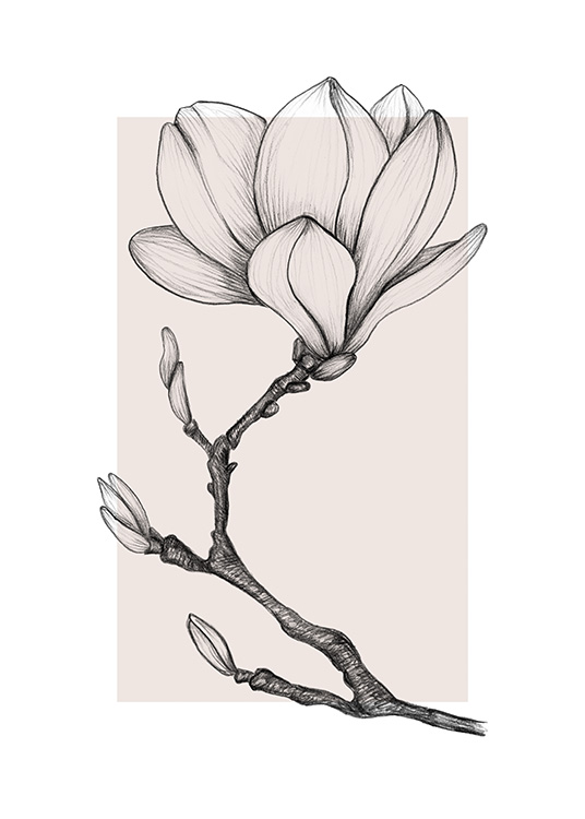  - Hand made drawing of a magnolia flower with buds on a light pink background