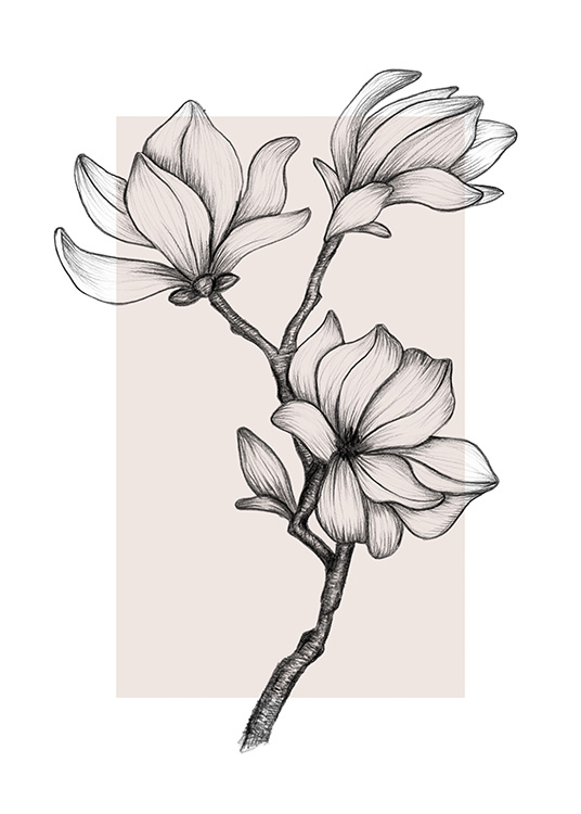 Magnolia Drawing No2 (30x40)