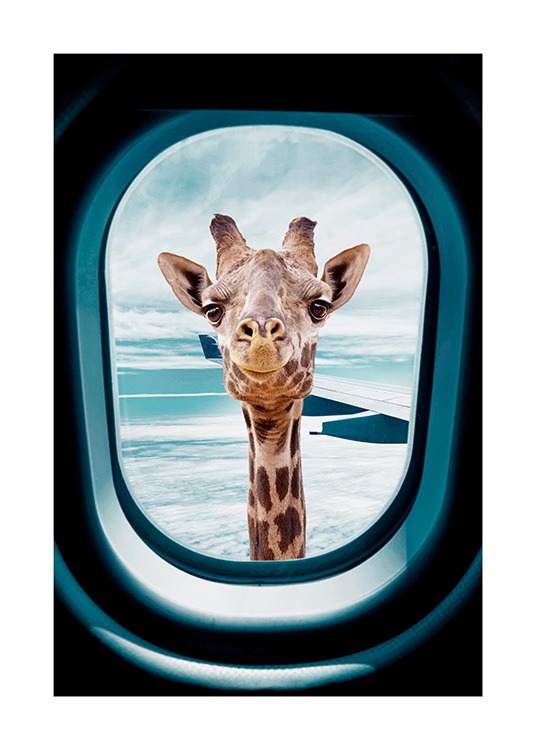  - Photograph of a curious giraffe looking through the window of an airplane