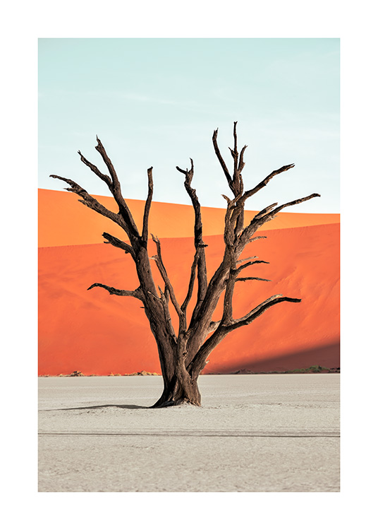 - Photograph of a brown tree standing in the desert in front of a blue sky and red sand dunes