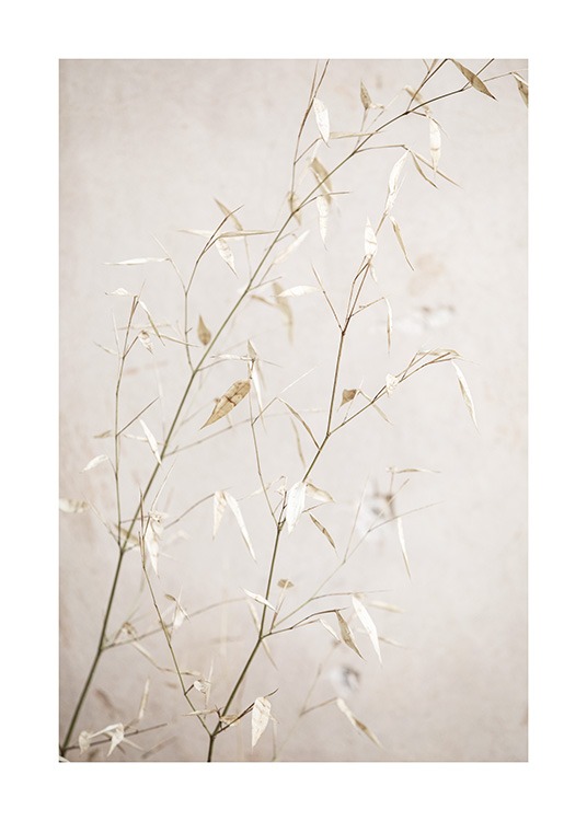  - Close up photograph of small leaves on beige grass straws against a light beige background