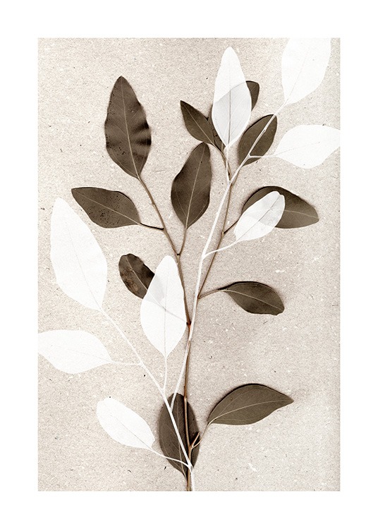  - Photograph of eucalyptus branches in green and white on a beige stone background