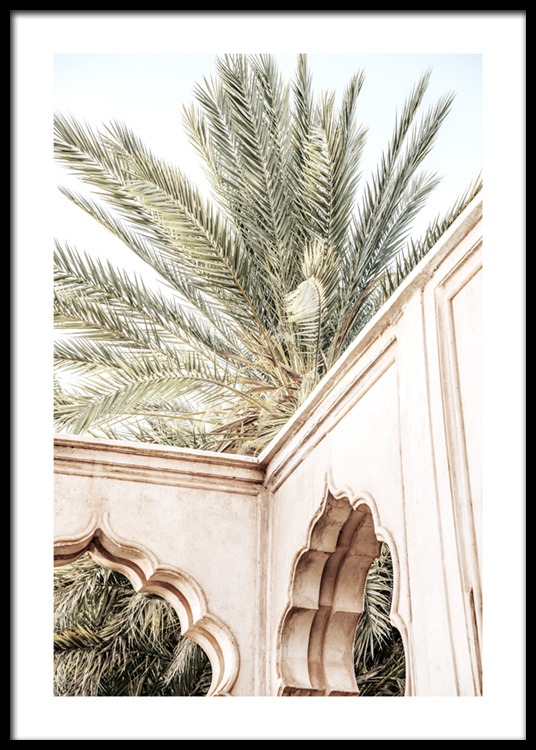 Palm Curves Poster - Palm tree - Desenio.co.uk