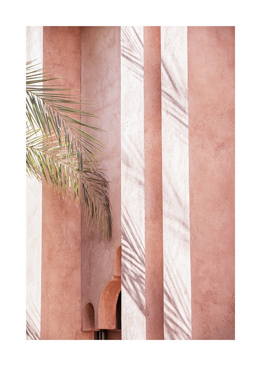  - Photograph of palm leaves resting against a pink building