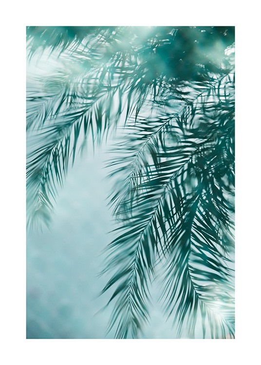  - Photograph of palm leaves reflecting in a blue pool