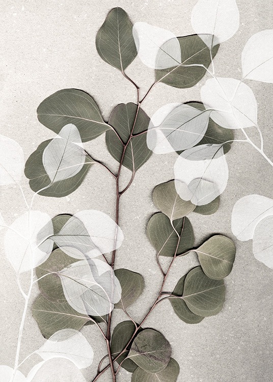  – Photograph of white and green eucalyptus branches laying on a stone background in beige