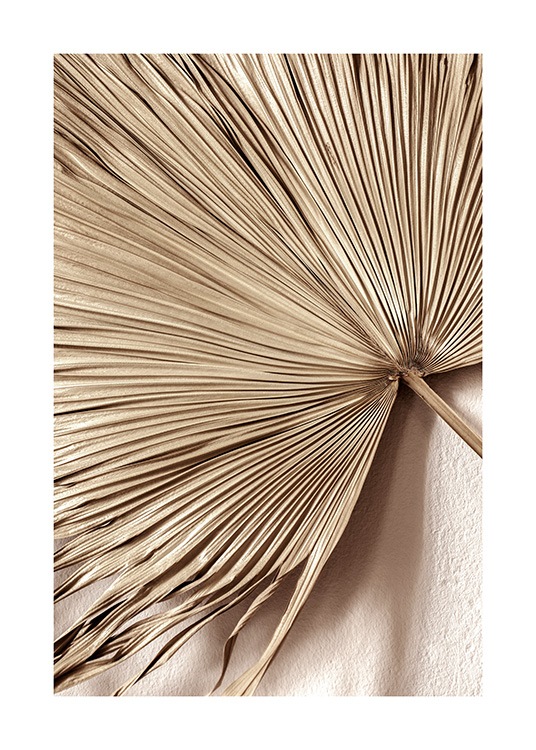  – Photograph of a fan palm leaf in gold with a beige wall behind it