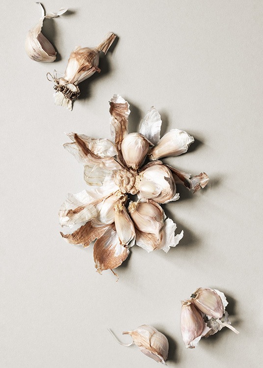 Garlic Cloves Poster
