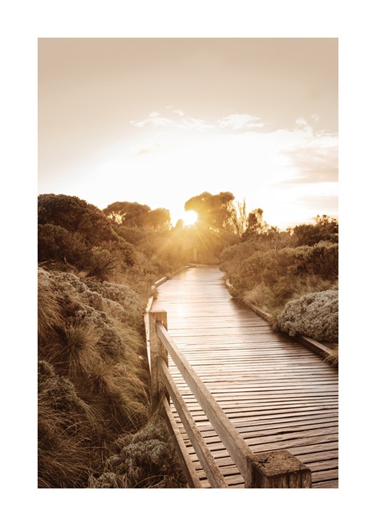  – Photograph of a boardwalk going through a countryside landscape in the sunset