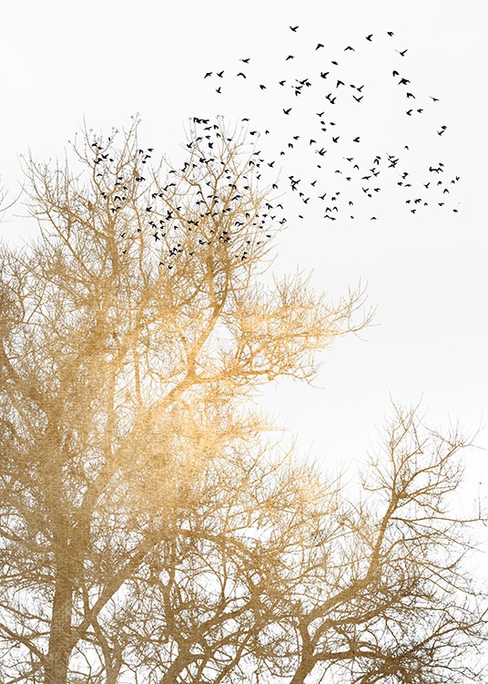  – Graphic illustration of black birds and a golden tree on a white background