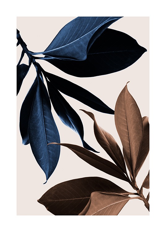 Blue Magnolia No1 Poster