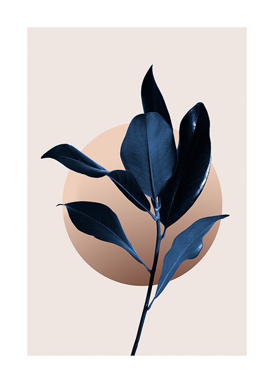  – Dark blue magnolia leaves with a graphic illustrated circle behind it, on a beige background