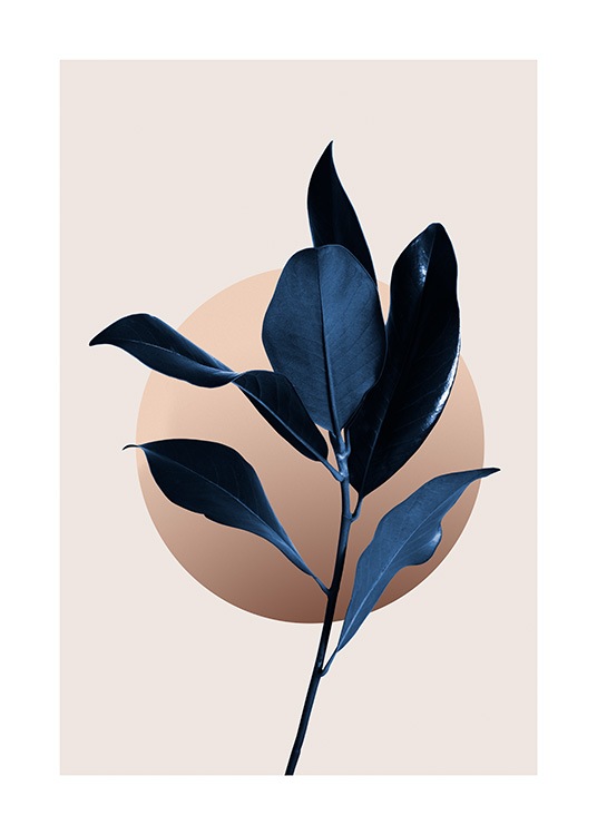 Blue Magnolia No2 Poster