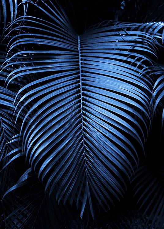  – Photograph of a large palm leaf in dark blue