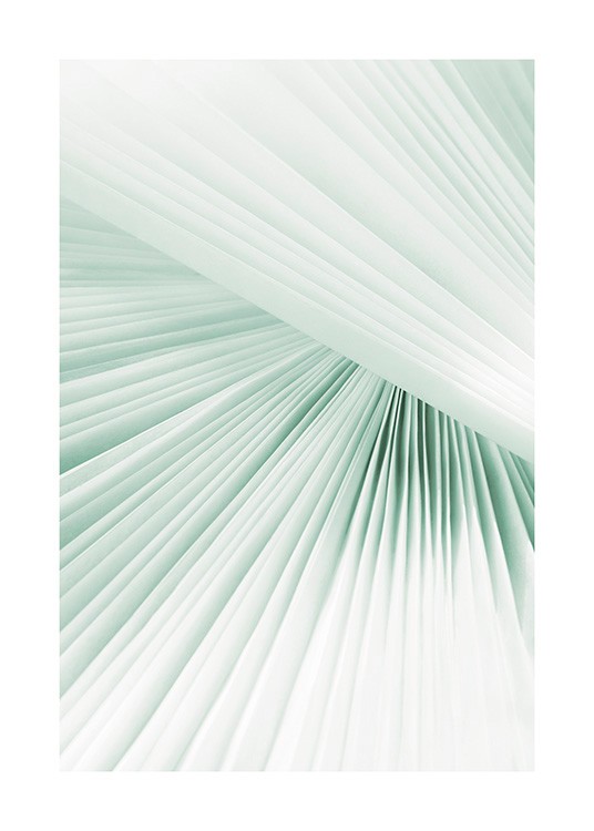  – Photograph with close up of a pleated paper in mint green