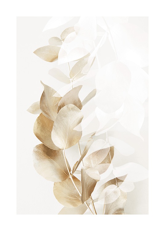 Golden Eucalyptus No2 Poster
