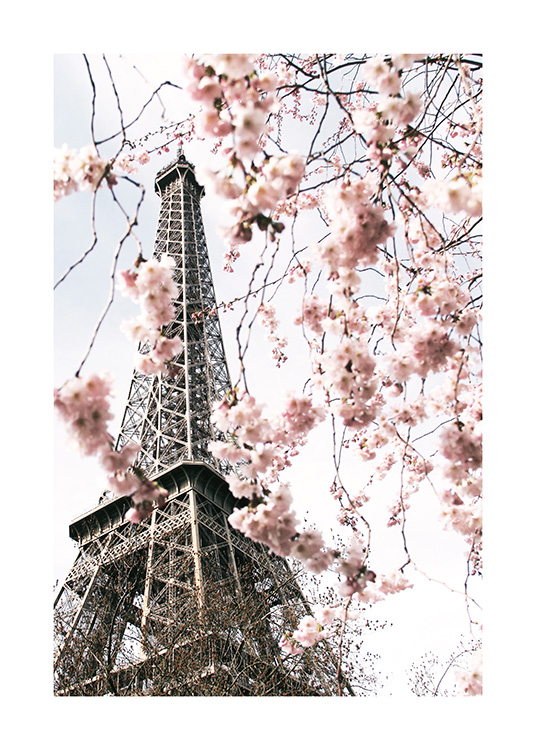  – Photograph of a tree with pink cherry blossoms in front of the Eiffel Tower