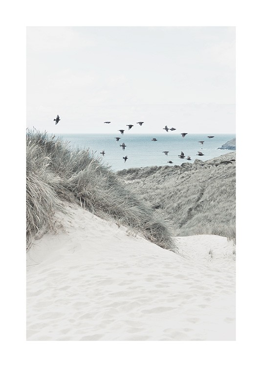 – Photograph of sand dunes and grass with a bunch of birds and a sea in the background