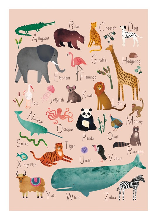  – Illustration with animals with names that start on each letter of the alphabet