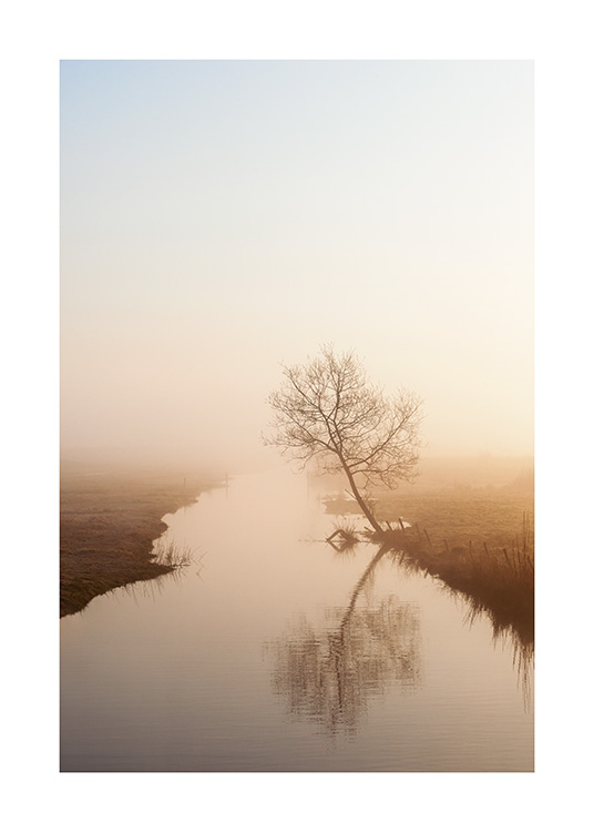  – Photograph of a stream in the fog, with grass and a tree beside it