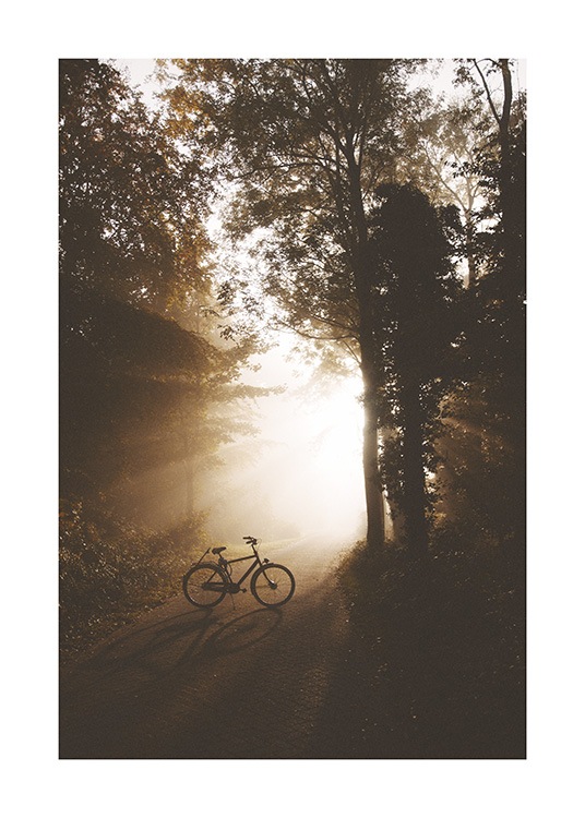  – Photograph of a forest with a bike standing on a road in the middle with sunlight shining on it