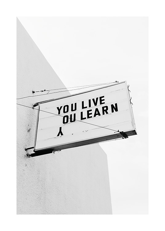 You Live You Learn Poster Vintage Sign Desenio Co Uk