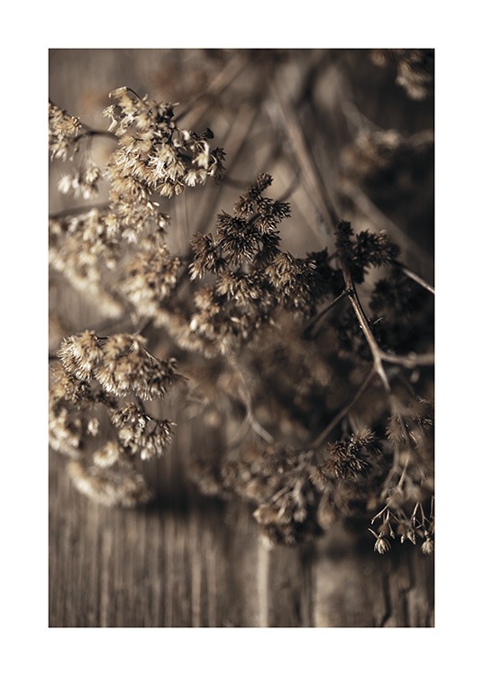  – Photograph with close up of brown, dried meadow flowers laying on a wooden table
