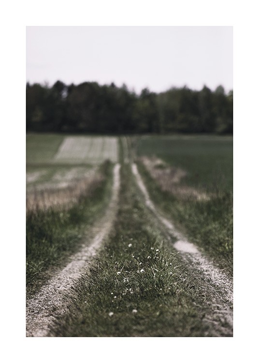  – Photograph of grass fields surrounding a small country road with blurry trees in the background
