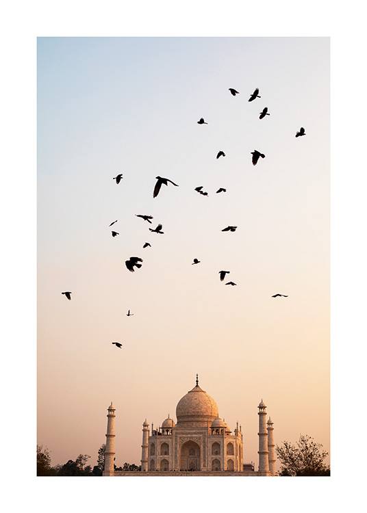  – Photograph of a bunch of birds flying, with Taj Mahal and a pastel coloured sky in the background