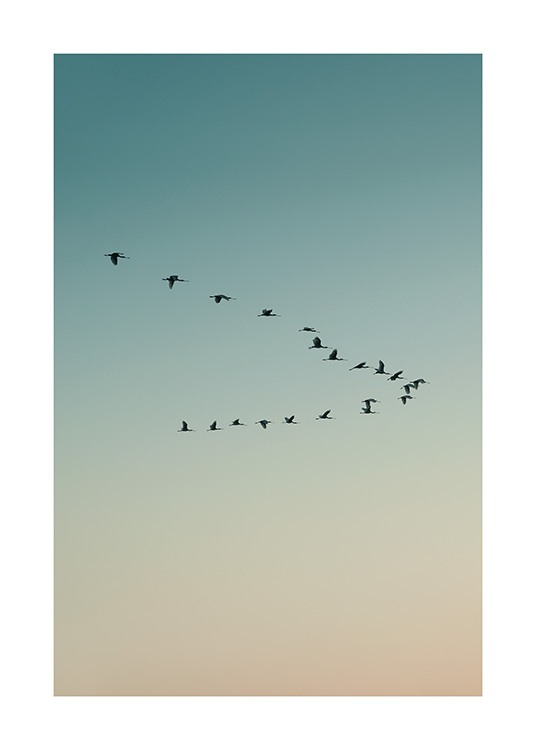  – Photograph of birds flying together, with a beige and blue sky in the background