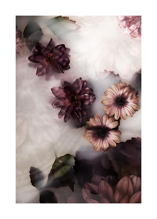 Floating Flowers Poster