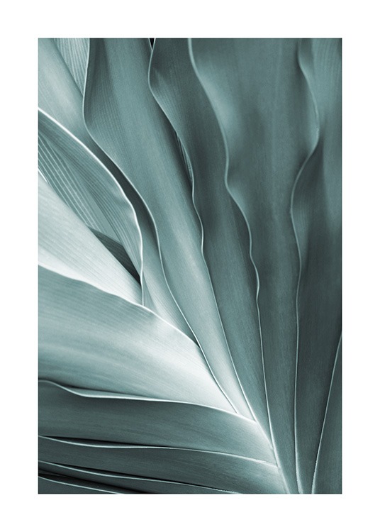  – Photograph with close up of a leaf in mint green, with folds in the leaf