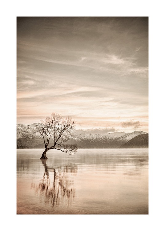  – Photograph of a still lake with a tree in it and mountains in the background