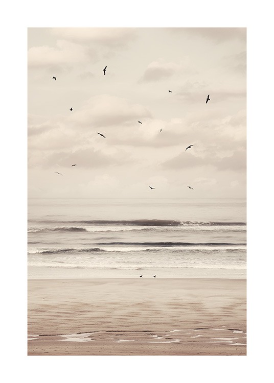  – Photograph of a beach and ocean with black birds flying in front of a cloudy sky
