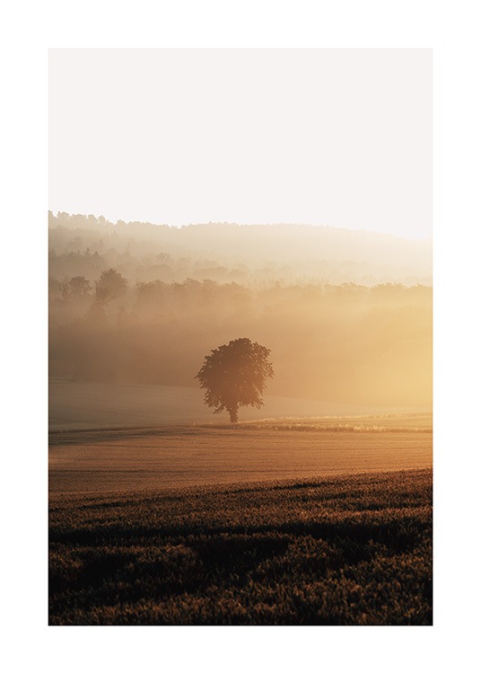  – Photograph of fields with a tree in the middle at sunrise, all covered in fog
