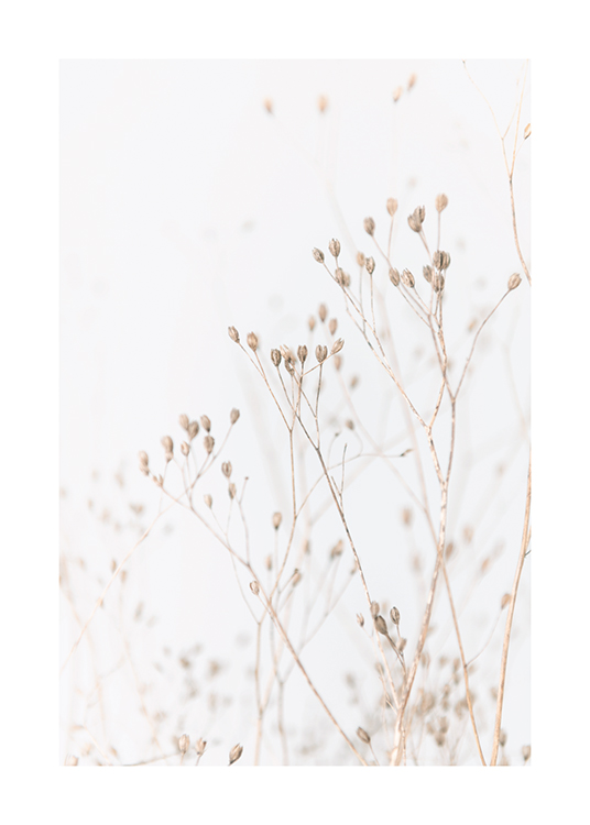  – Bundle of small flowers in beige against a background in light grey