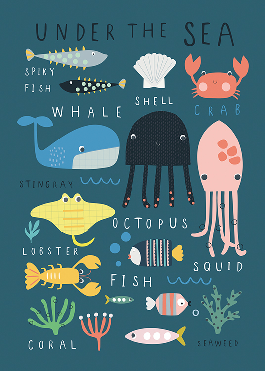  – Graphic illustration of animals and plants of the sea and their names, on a teal coloured background