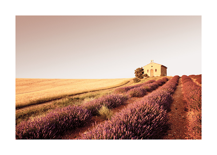  – Photograph of a chapel on the top of a hill with a heather field in front of it