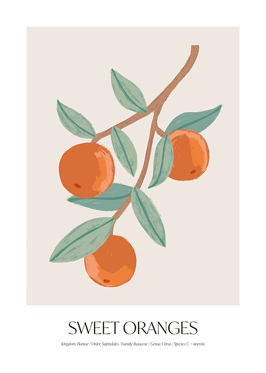 Sweet Oranges Poster