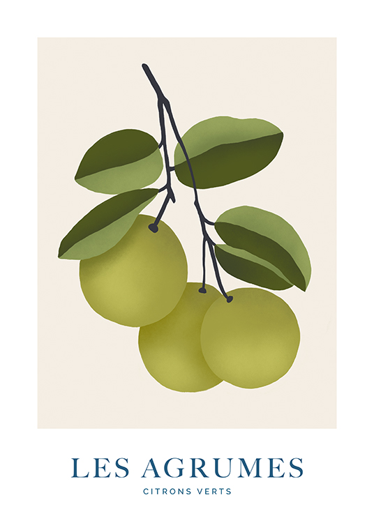  – Illustration of a bunch of limes and leaves on a branch, on a light beige background
