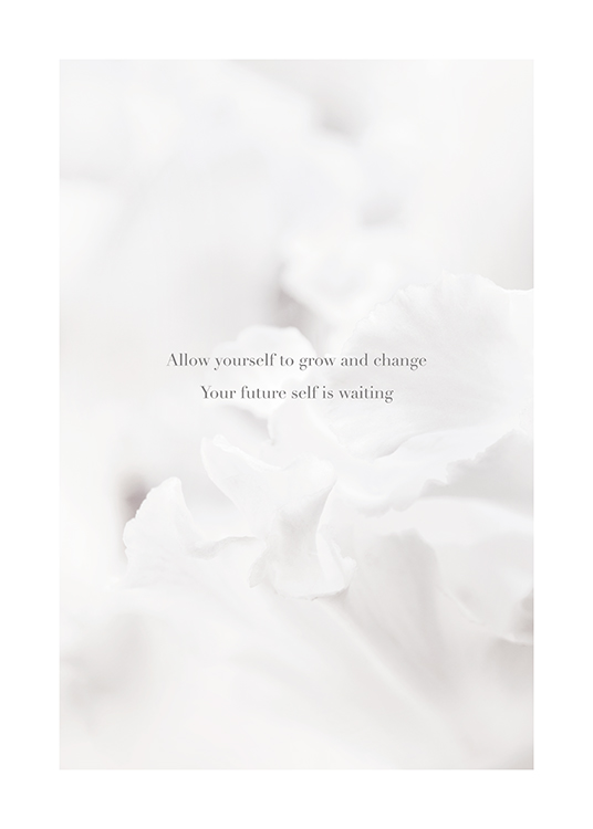  – Quote about personal growth with a photograph of a light flower as background