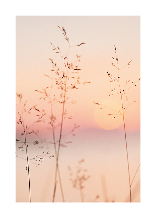  – Photograph of a pastel coloured sky and sun behind thin grass straws