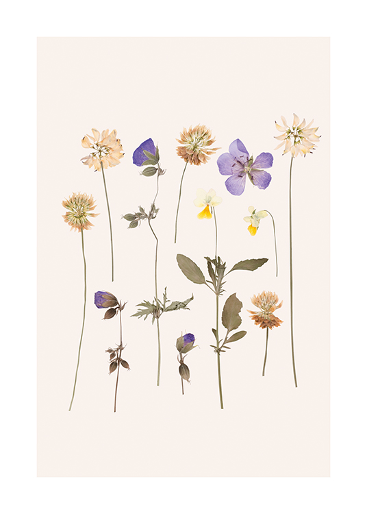 Pressed Flowers No1 Poster Small pressed flowers desenio.co.uk