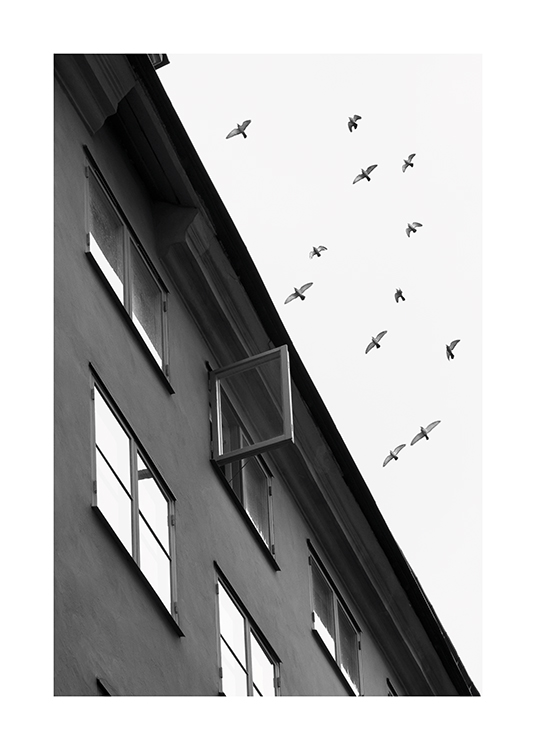  – Black and white photograph of a flock of birds flying over a building where a window is open
