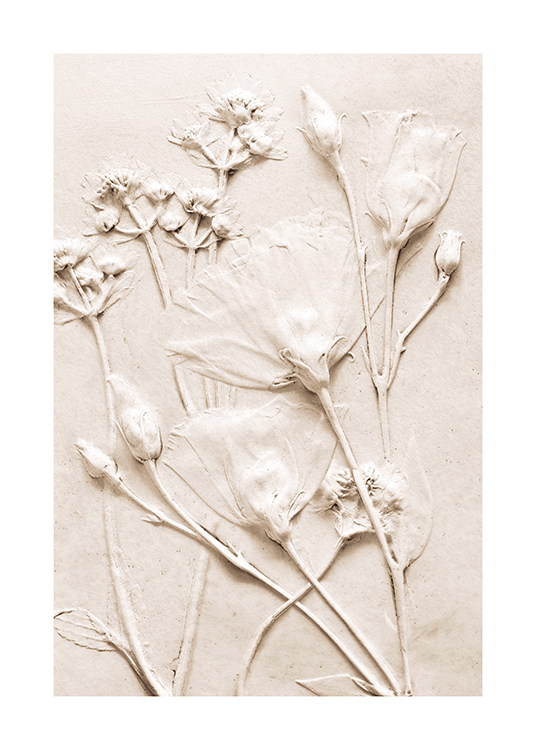  – Photograph of beige flowers resting against a concrete background in beige