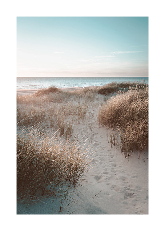  – Photograph of sand dunes covered by grass and the ocean in the background