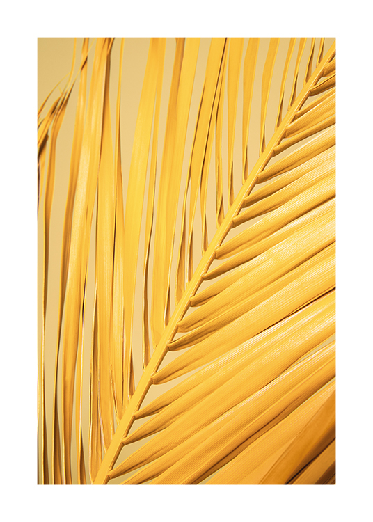  – A yellow palm leaf on a yellow background