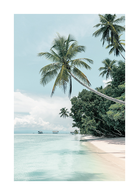  – Tropical photograph of a beach with palm trees on it, and a blue ocean